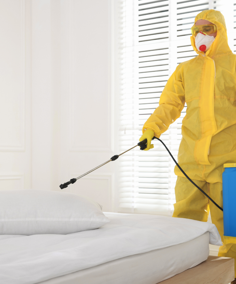 Professional Pest Control Team in Hectorville